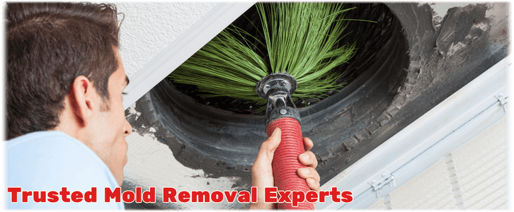 Air Duct Mold Removal in Philadelphia