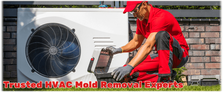 HVAC Mold Removal Philadelphia